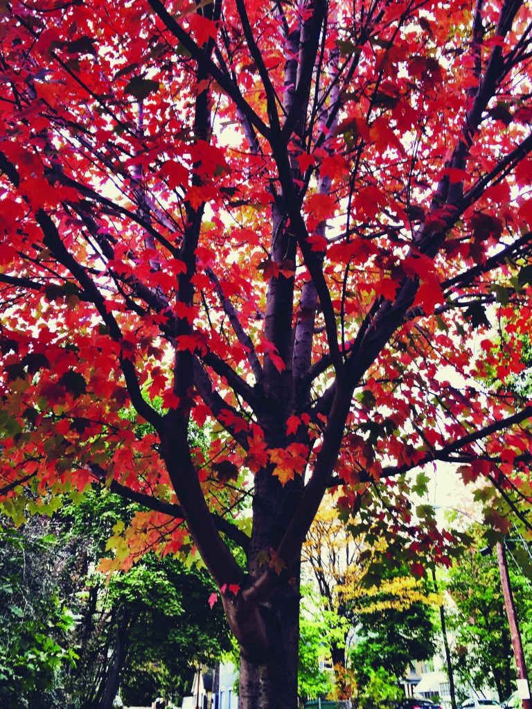 Processed with VSCOcam with 9 preset