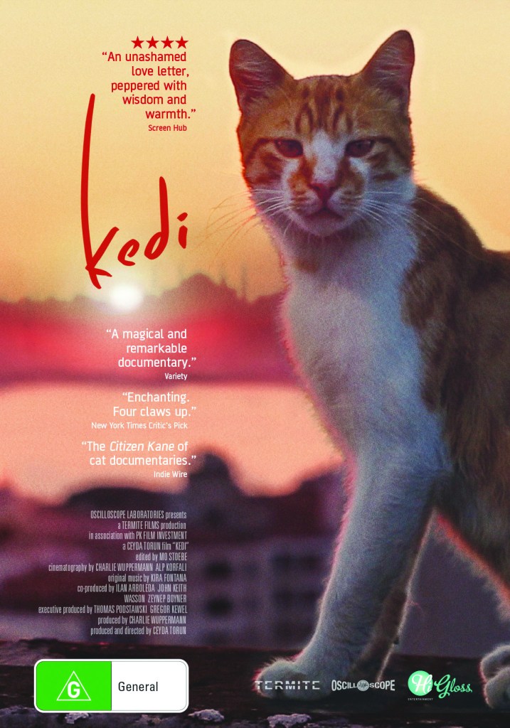 Kedi-webposter (1)