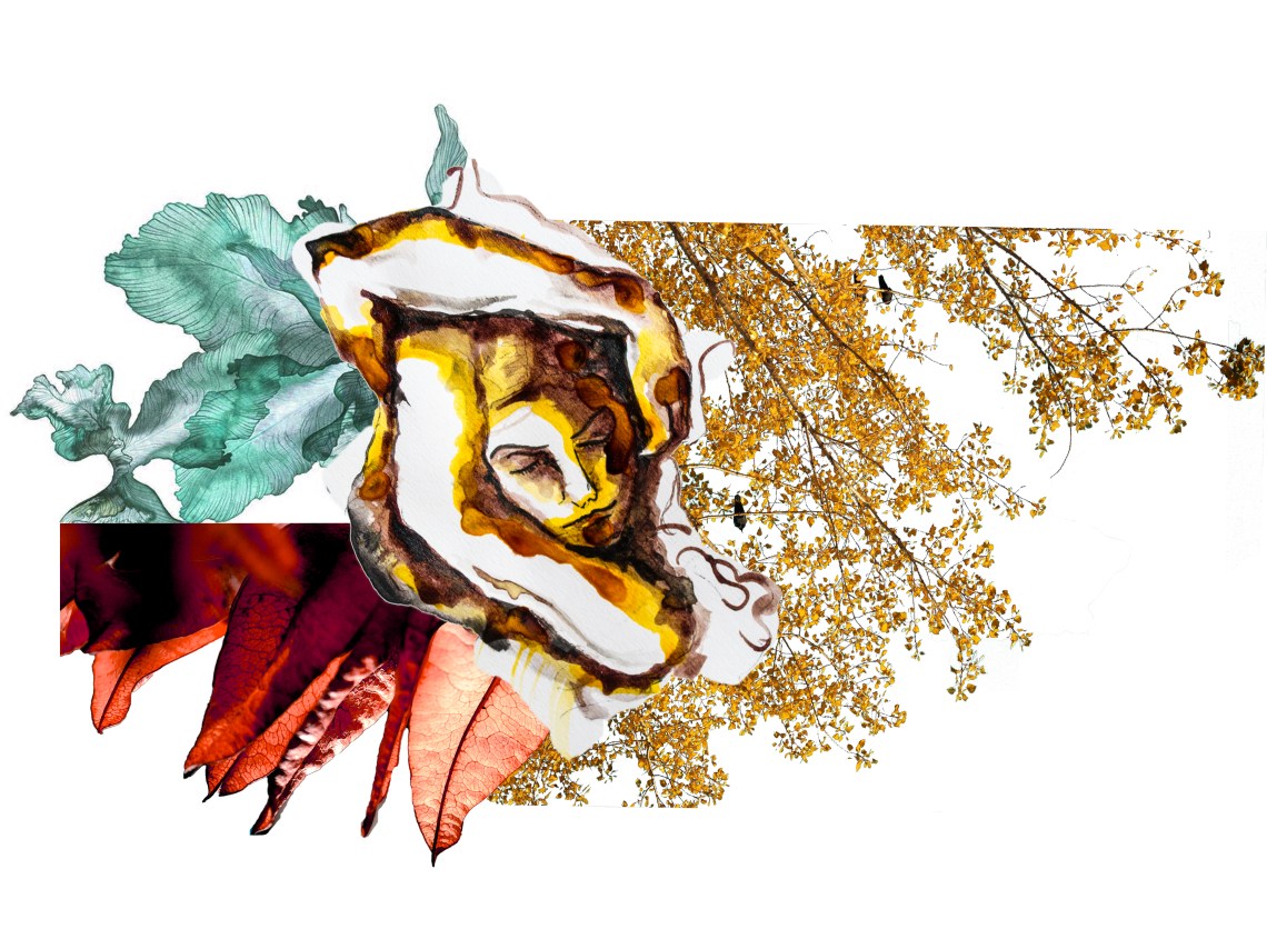 KesKazan_KoruKazan_ElifMercan